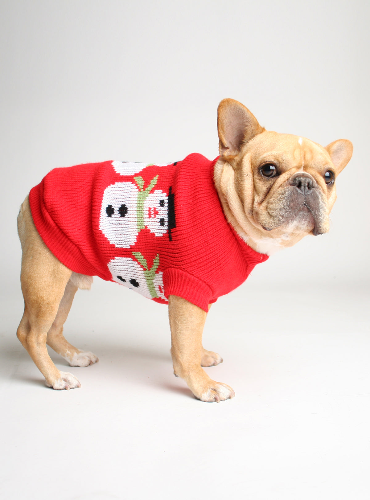 The Frosty Dog Sweater