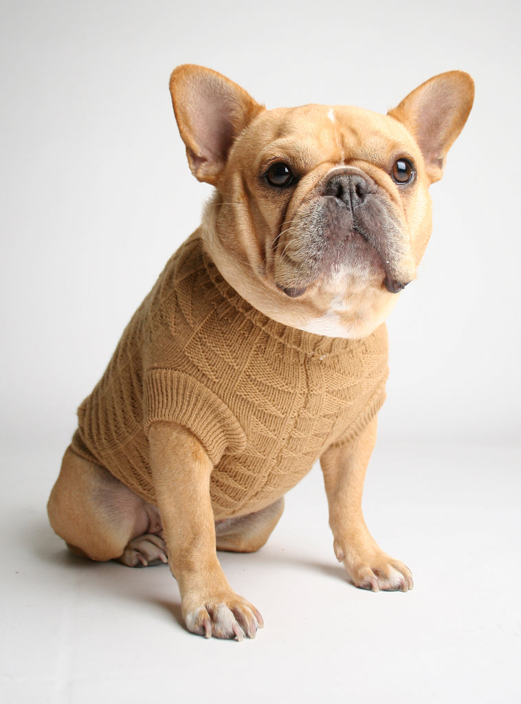 Tot Thot Dog Sweater - Club Huey