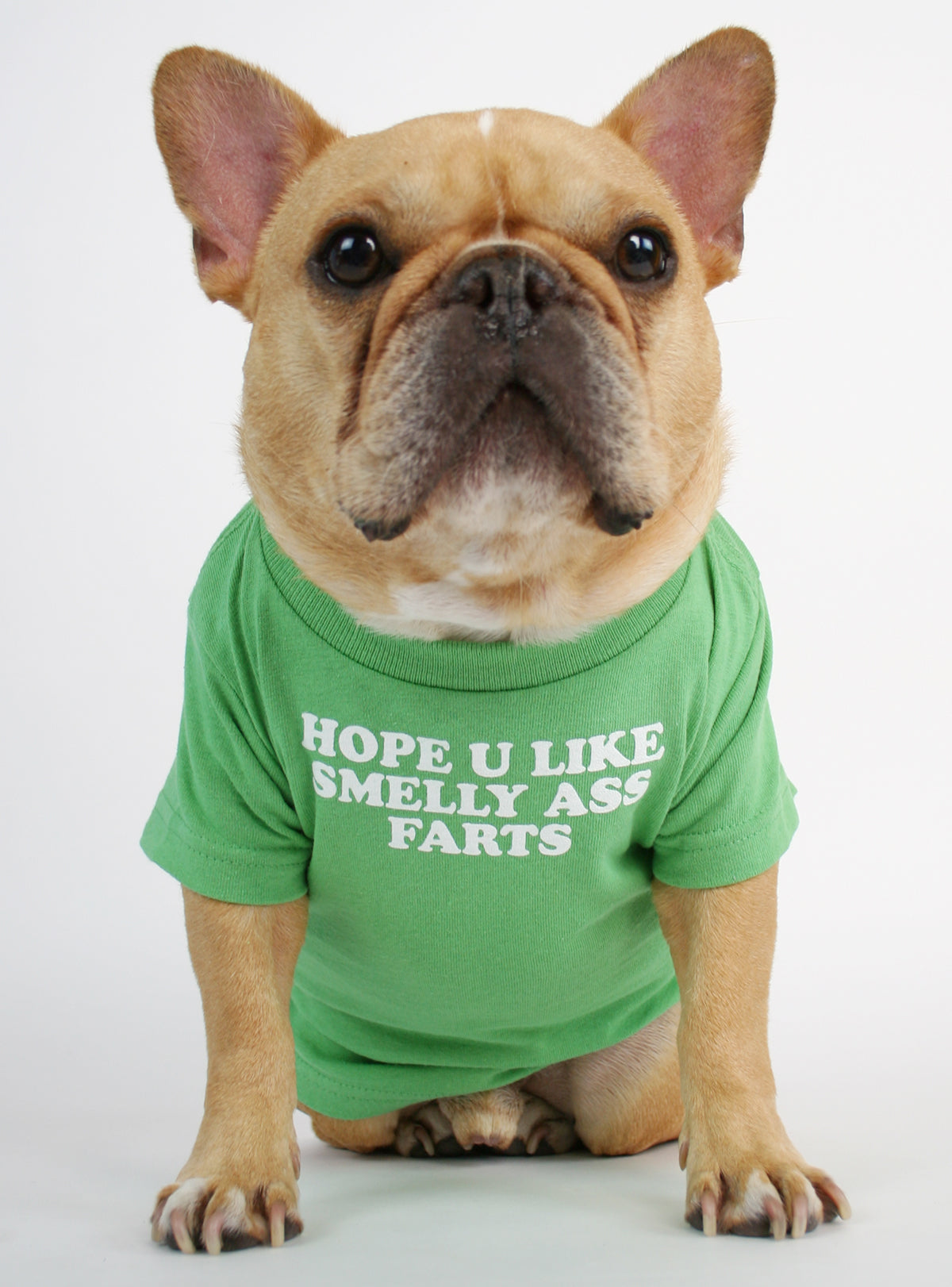 Hope You Like Smelly Farts Dog Tee