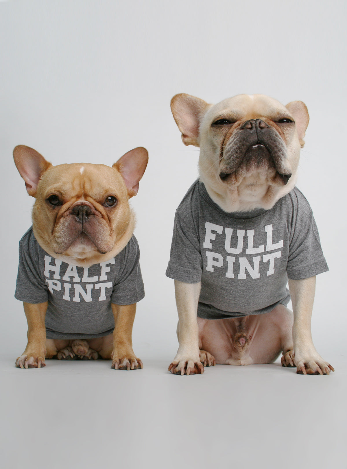 Half Pint + Full Pint (2-Pack) Dog Tee