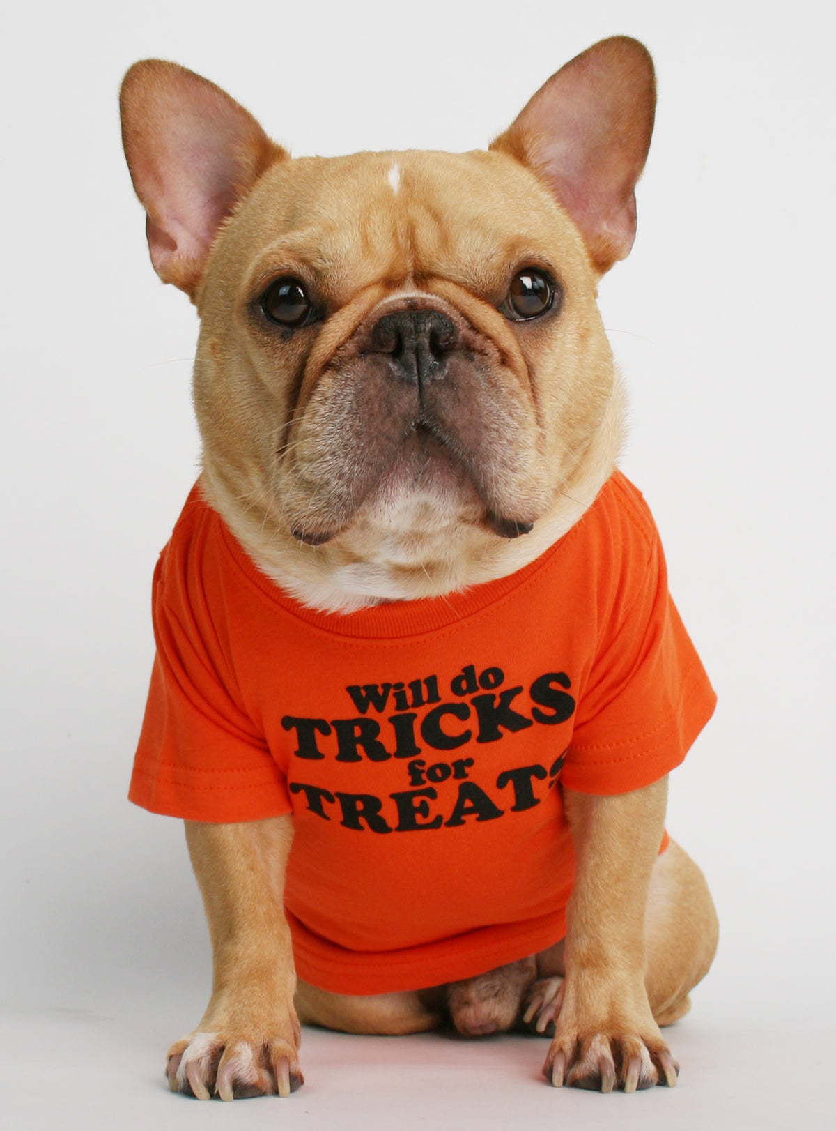 Will Do Tricks For Treats Dog Tee