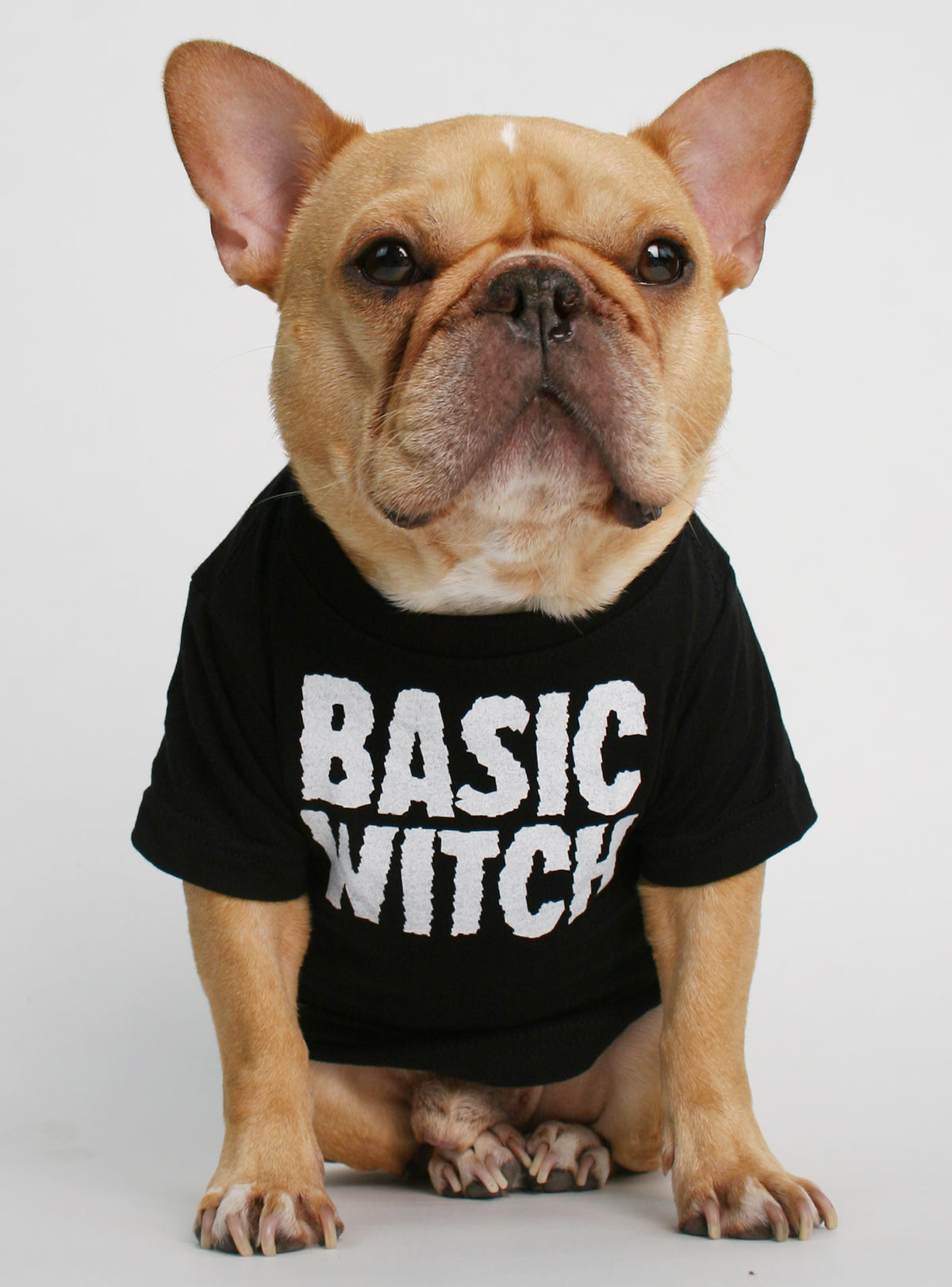 Basic Witch Dog Tee