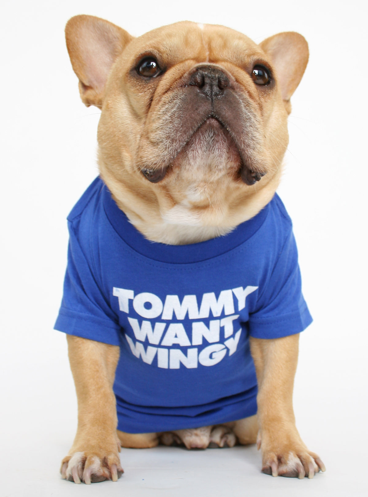 Tommy Want Wingy Dog Tee