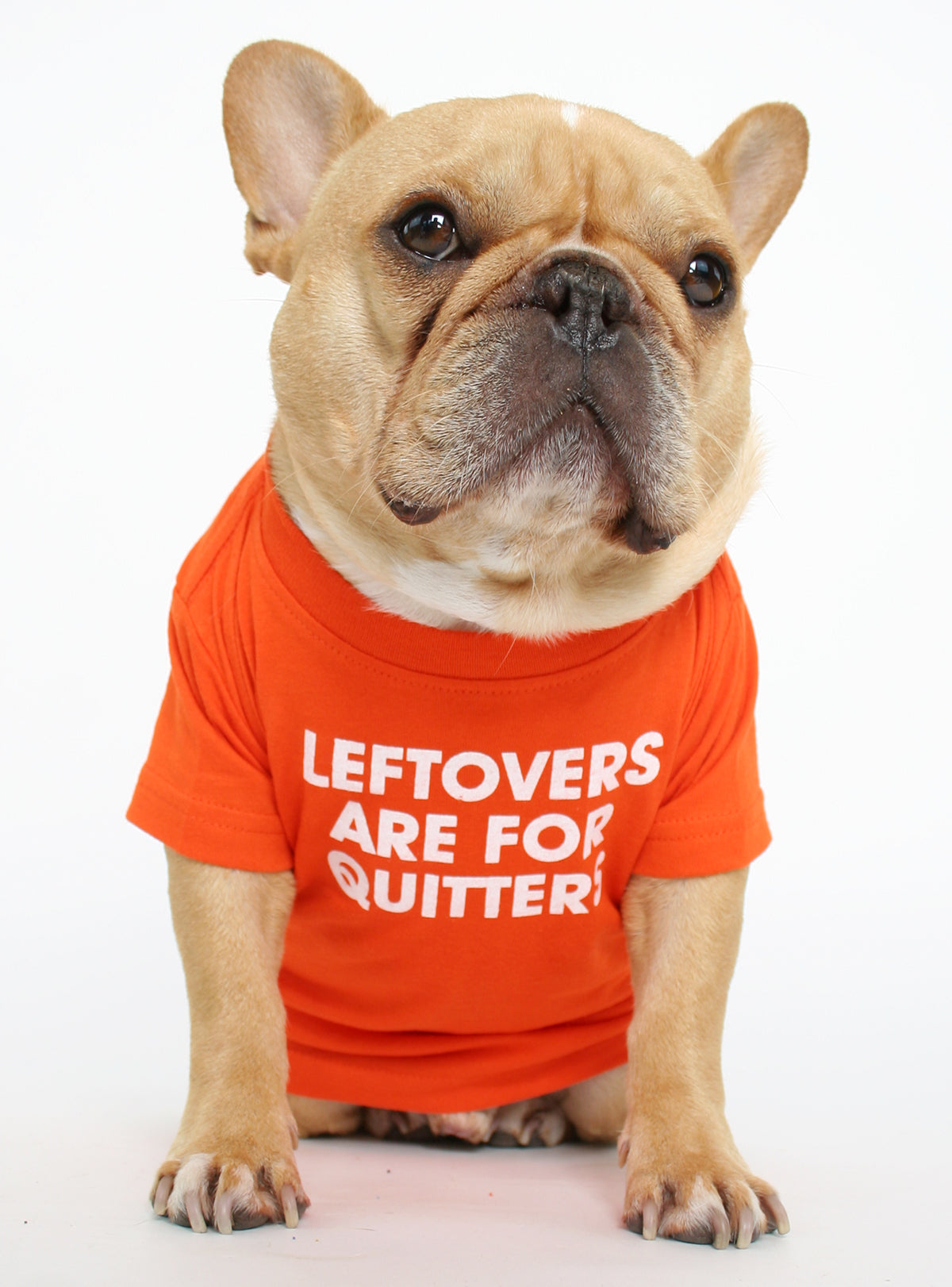 Leftovers Are For Quitters Dog Tee