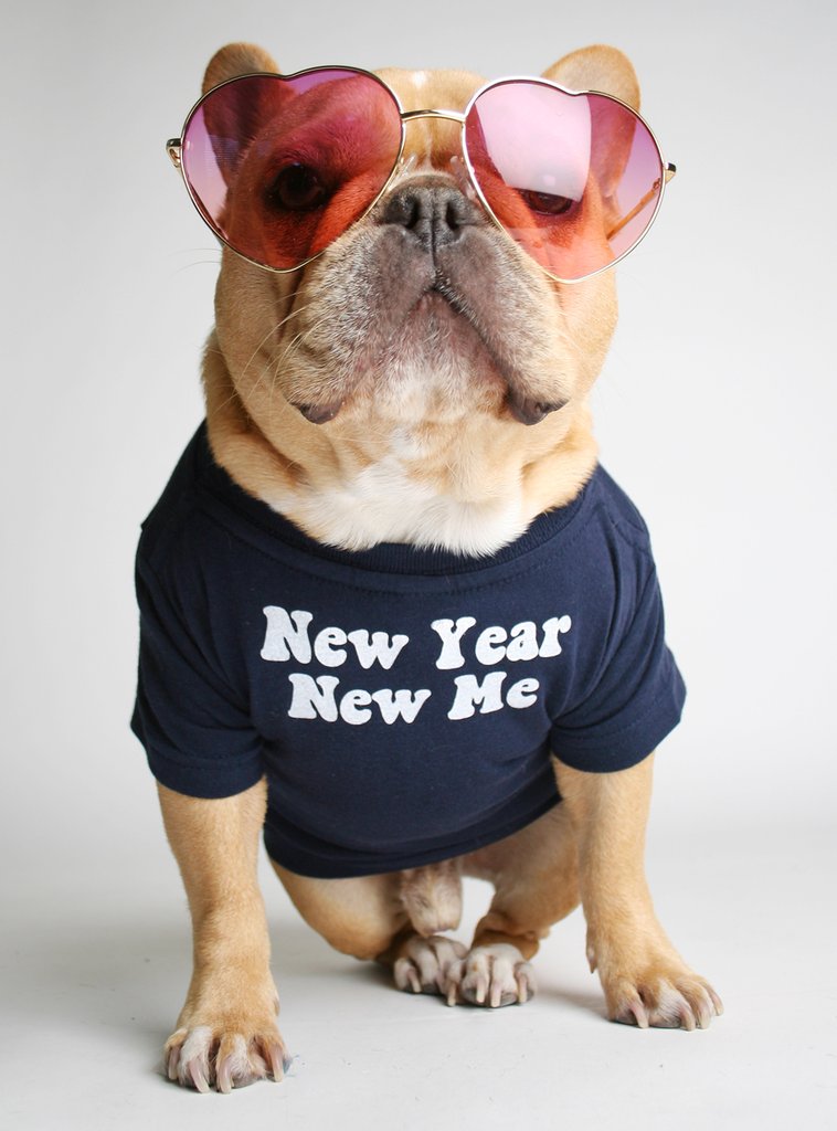 New Year New Me Dog Tee