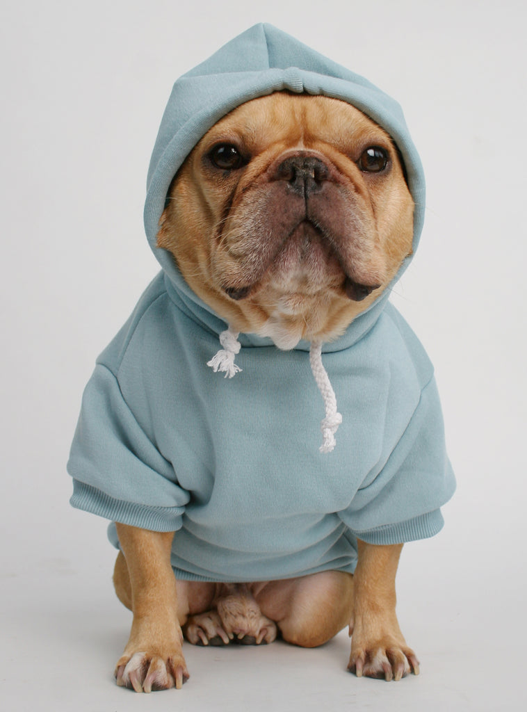 The Jasper Dog Hoodie - Club Huey