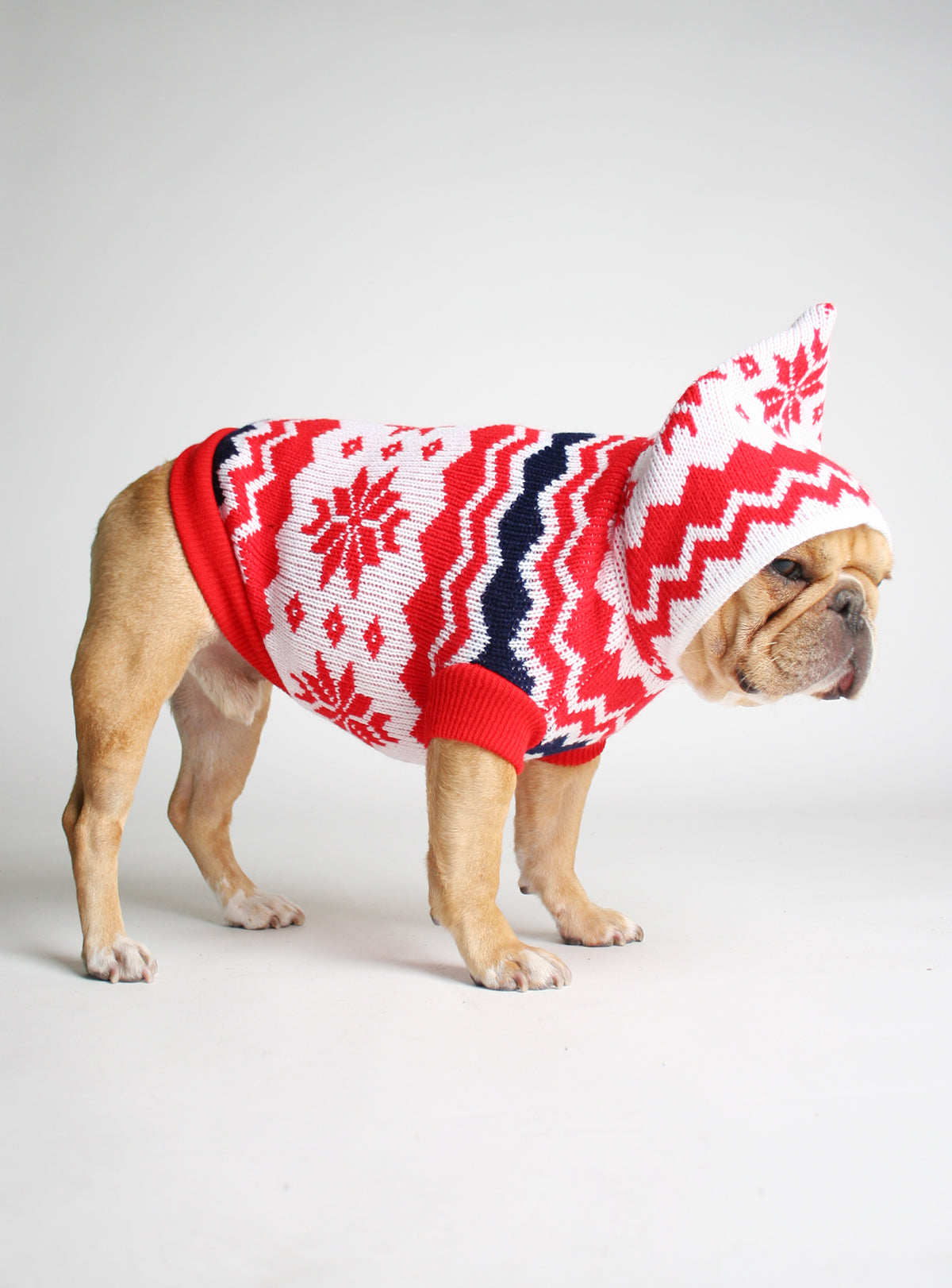 The Frostbite Dog Sweater