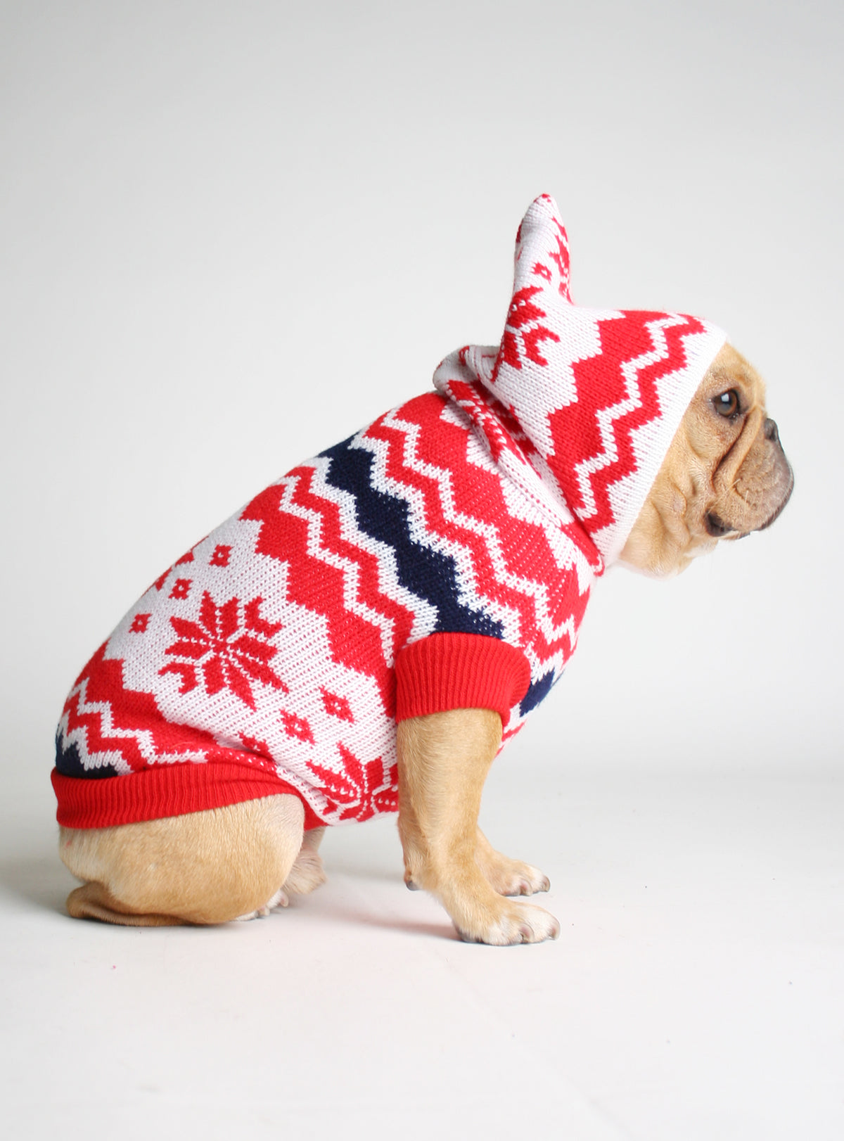 The Frostbite Dog Sweater - Club Huey