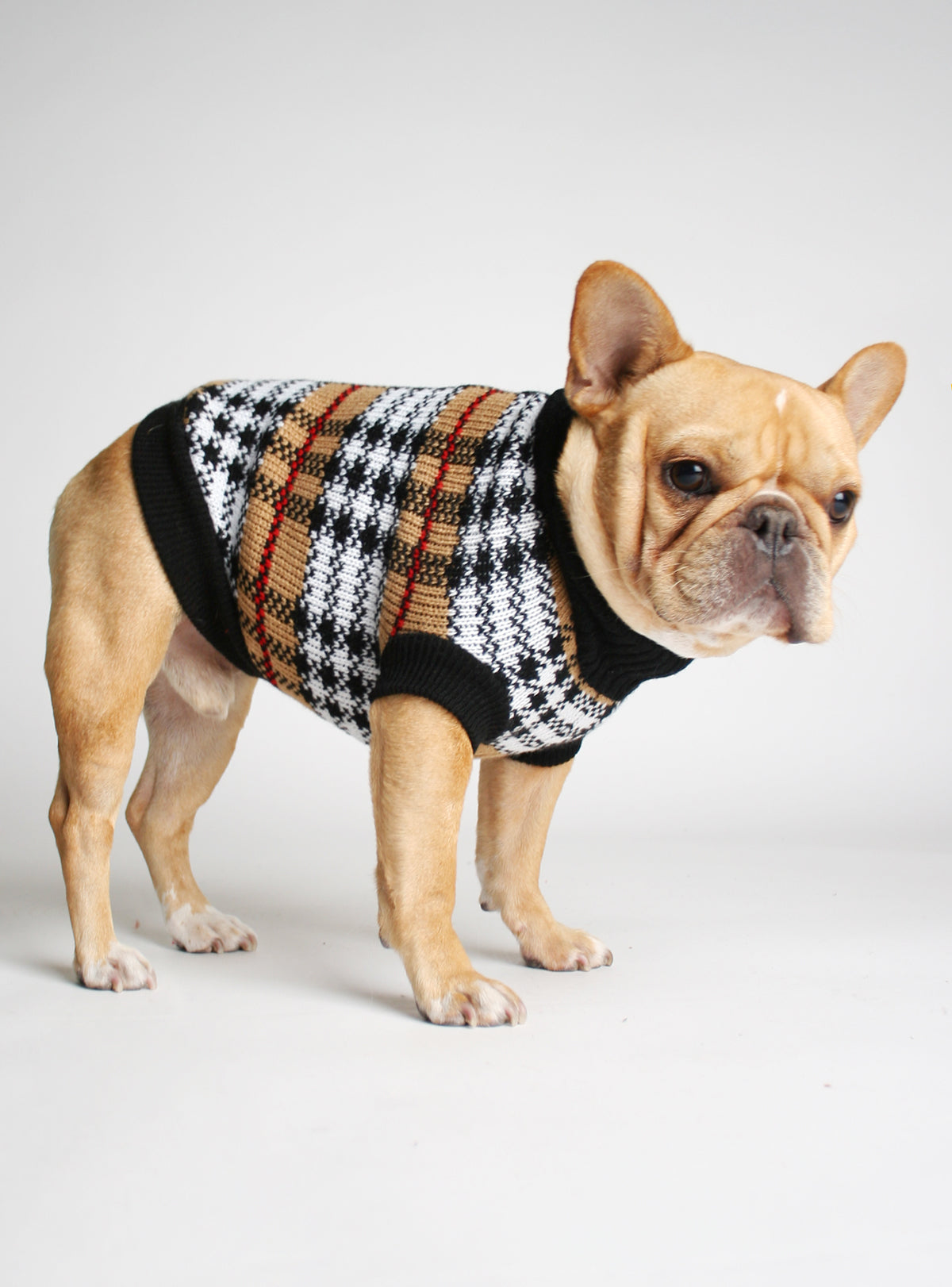 The Melting Season Dog Sweater