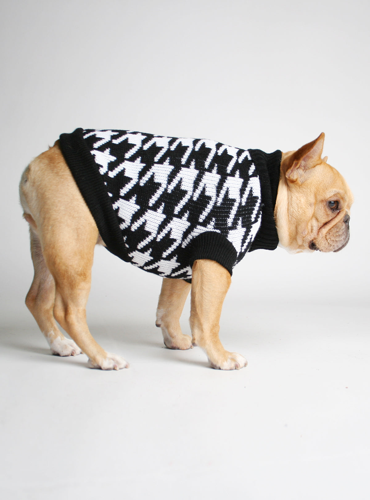 The Whiteout Dog Sweater