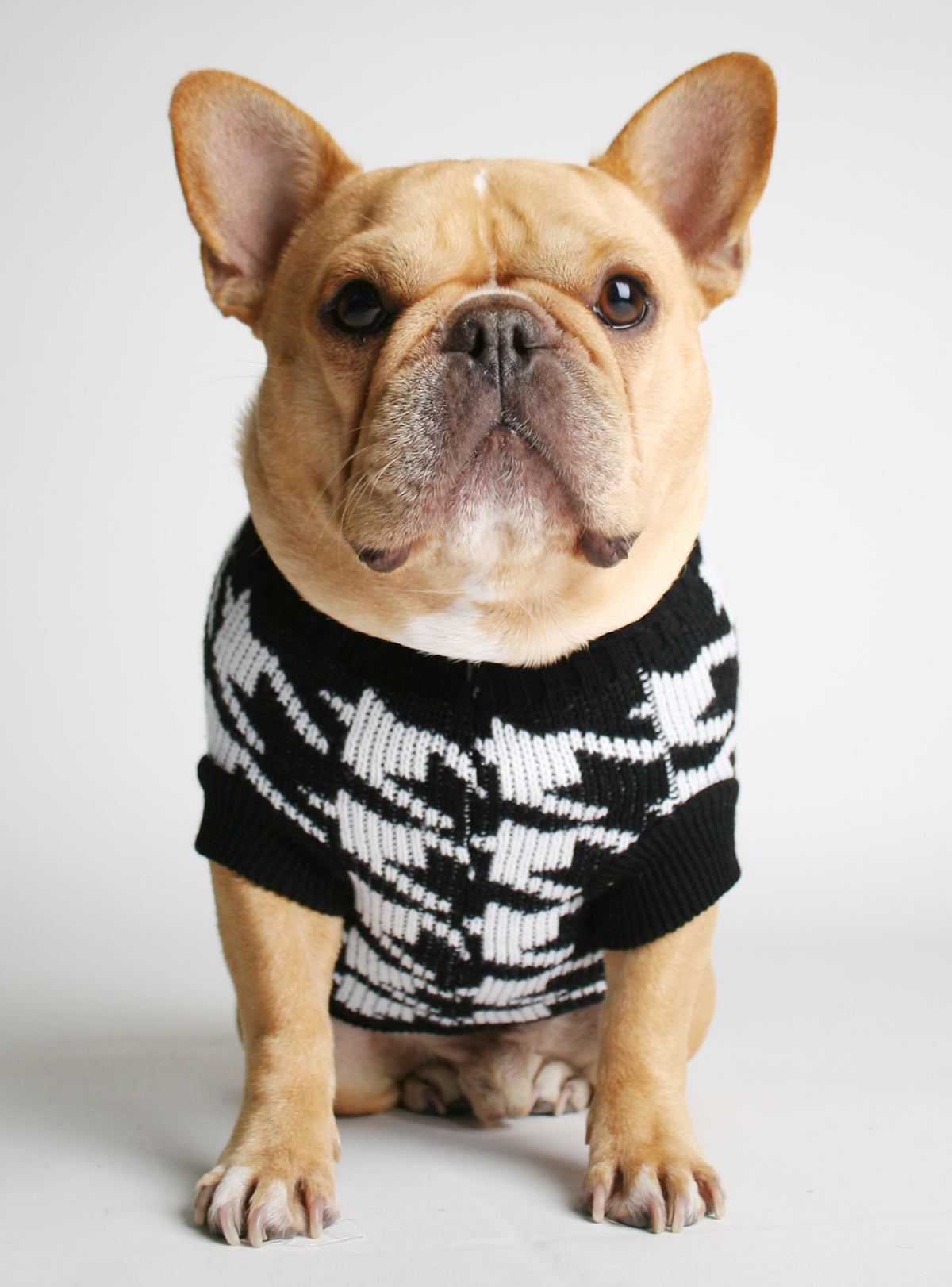 The Whiteout Dog Sweater