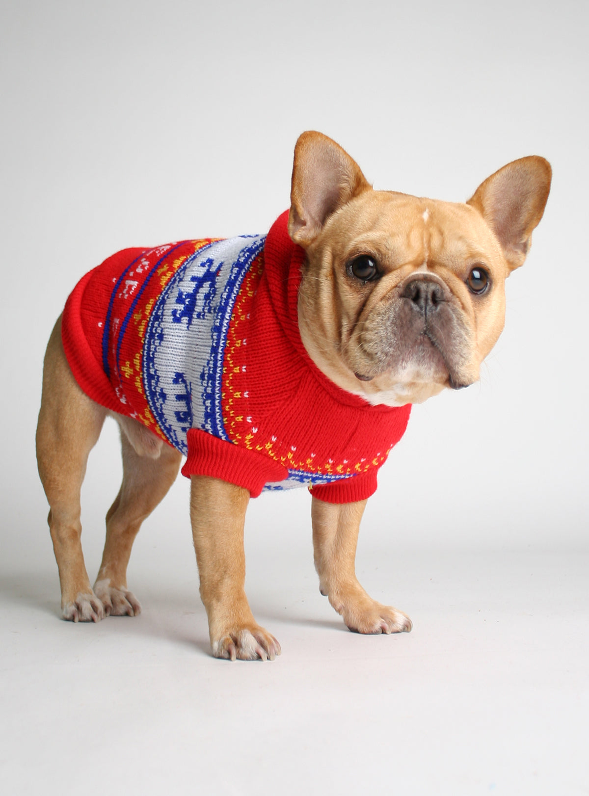 The Snowbound Dog Sweater