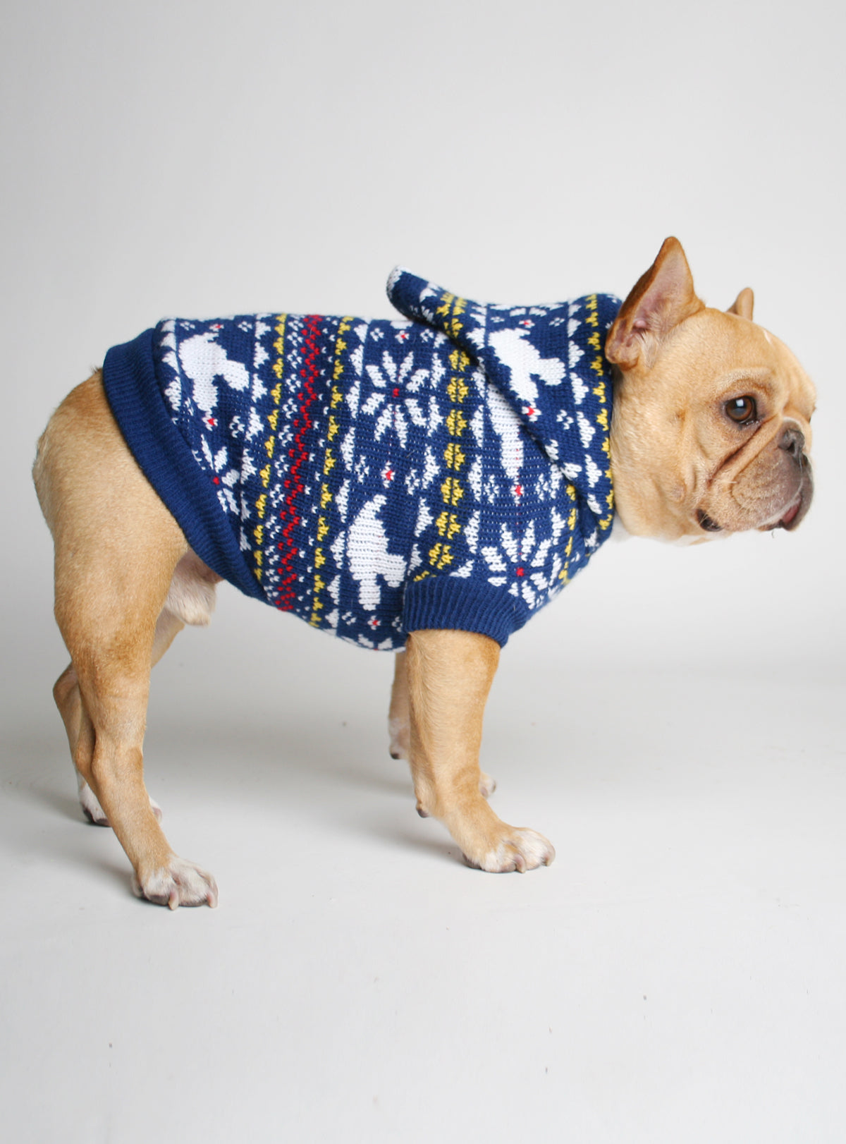 Fantasia Dog Sweater