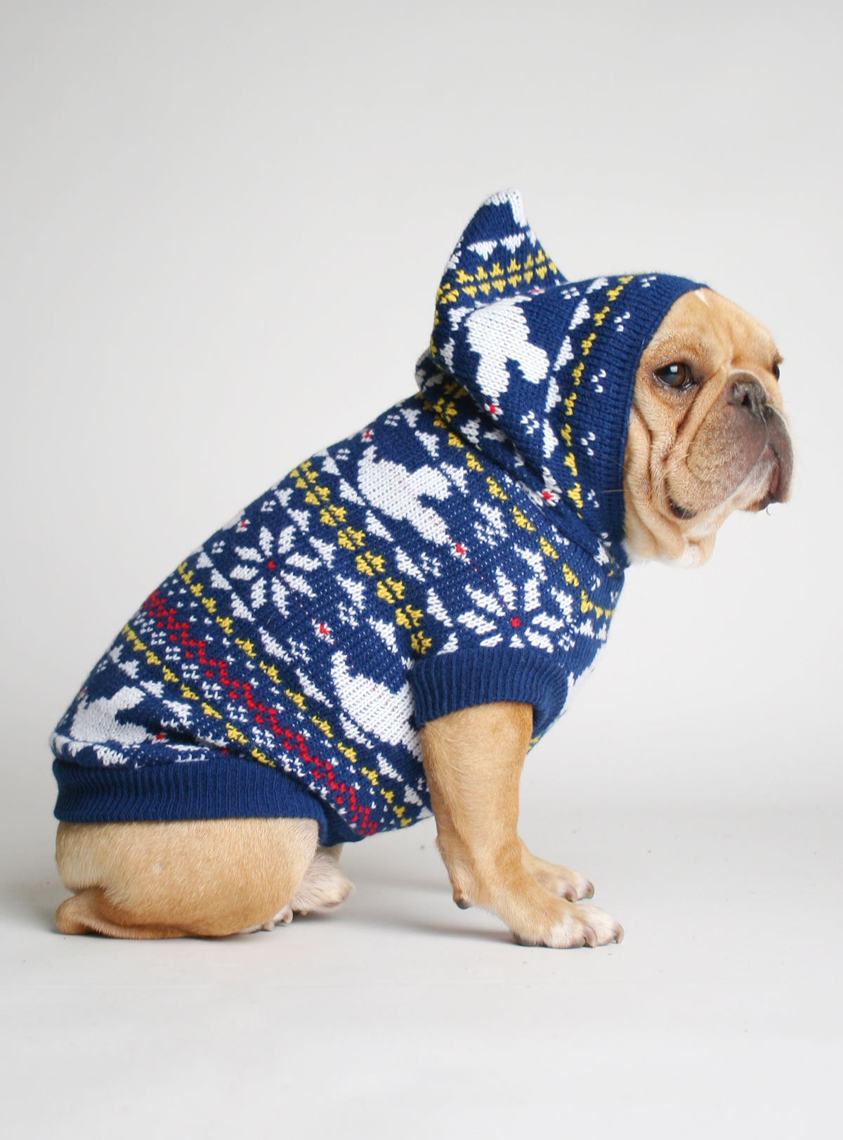 Fantasia Dog Sweater