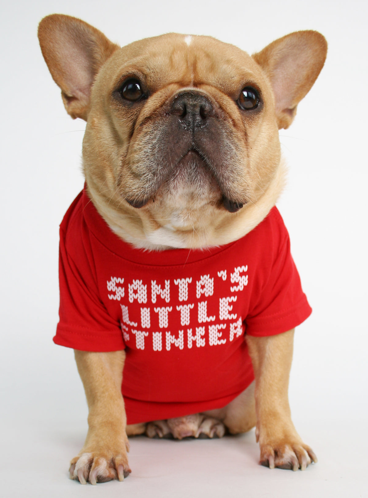 Santa&#39;s Little Stinker Dog Tee