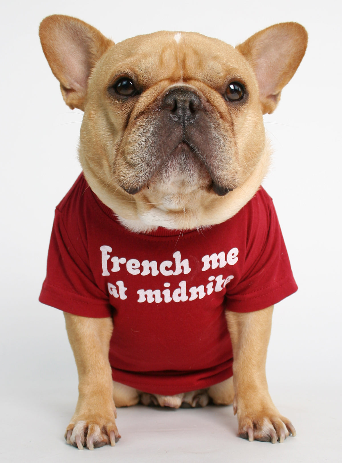 French Me At Midnite Dog Tee