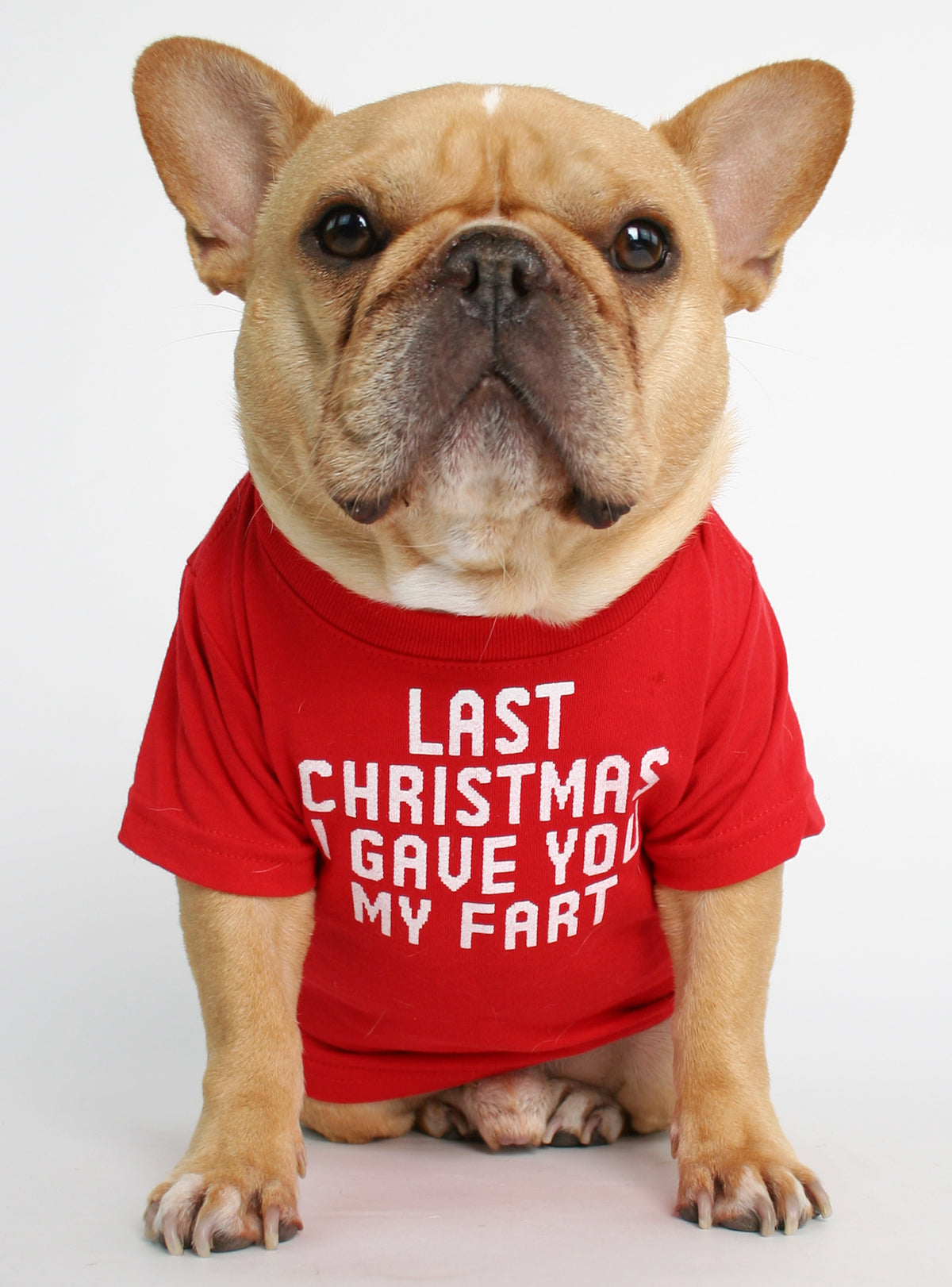 Last Christmas Dog Tee