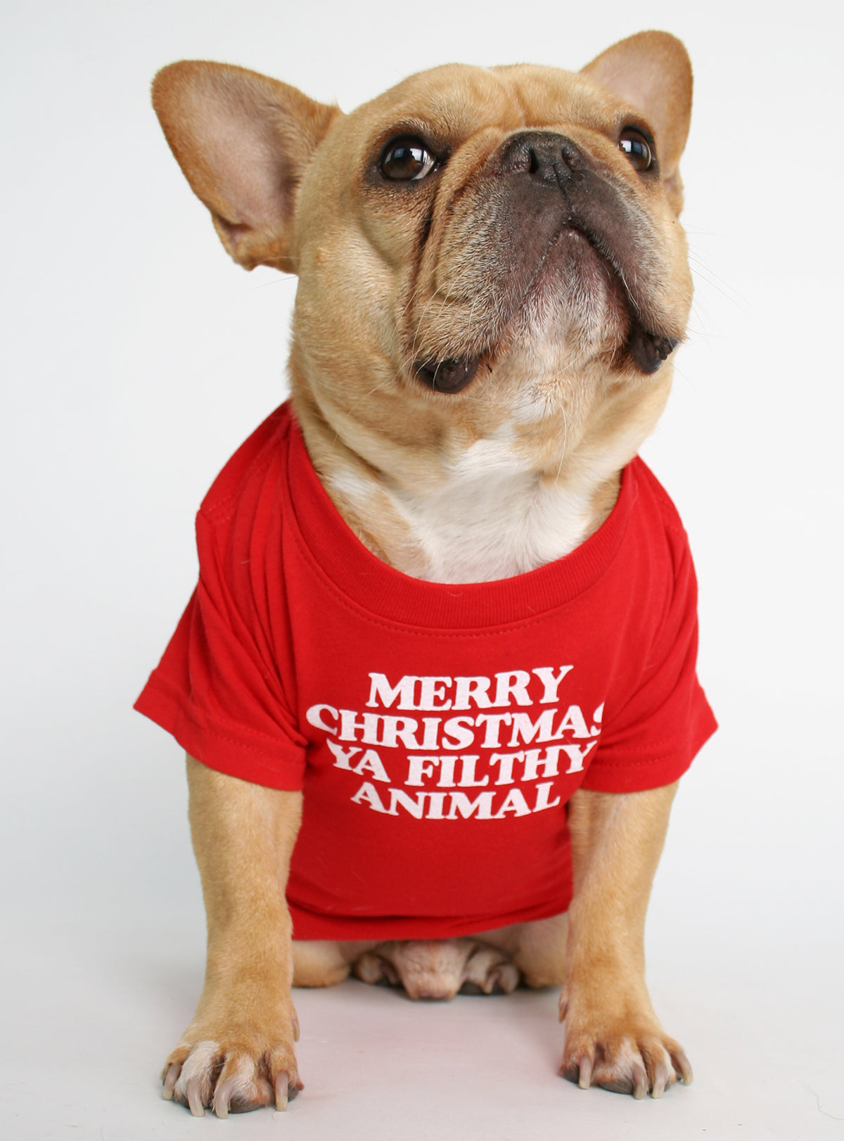 Merry Christmas Ya Filthy Animal Dog Tee
