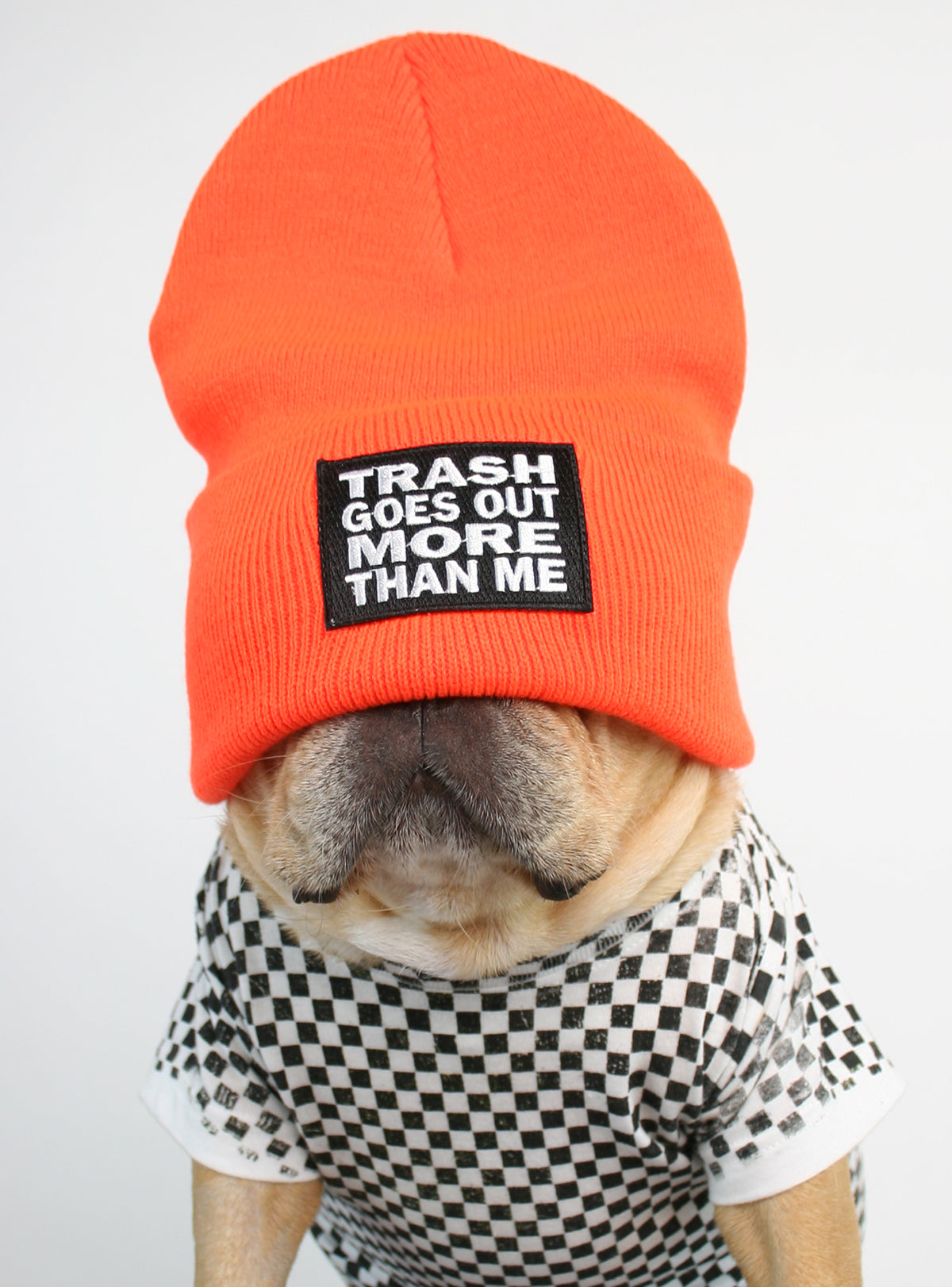 Trash Goes Out More Than Me Beanie
