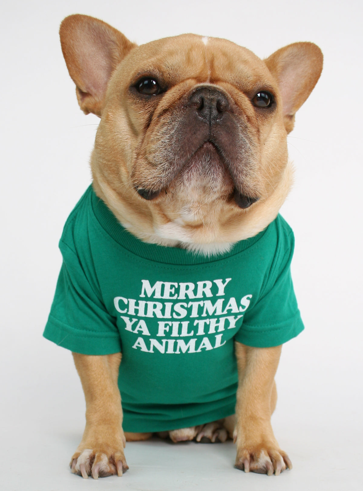 Merry Christmas Ya Filthy Animal Dog Tee