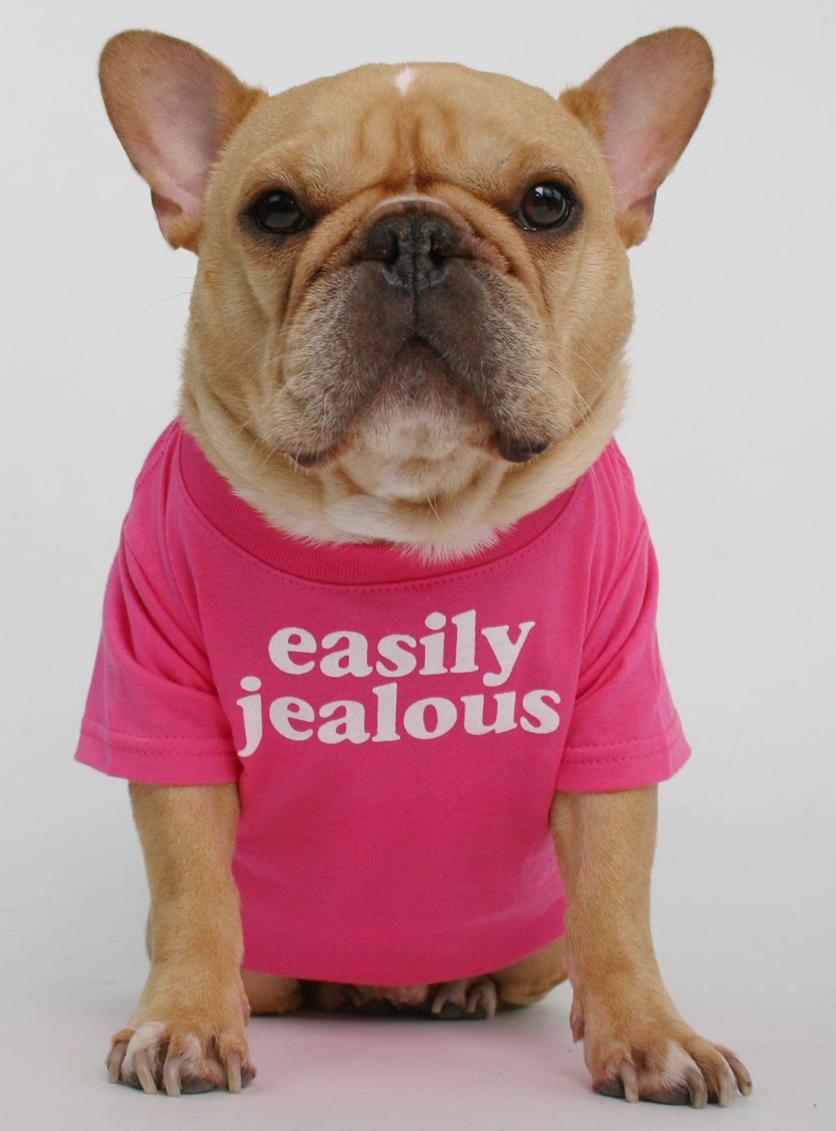 Easily Jealous Dog Tee