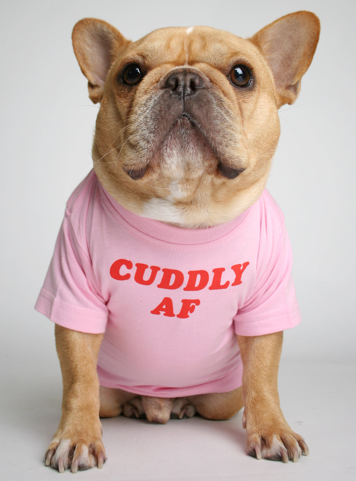 Cuddly AF Dog Tee