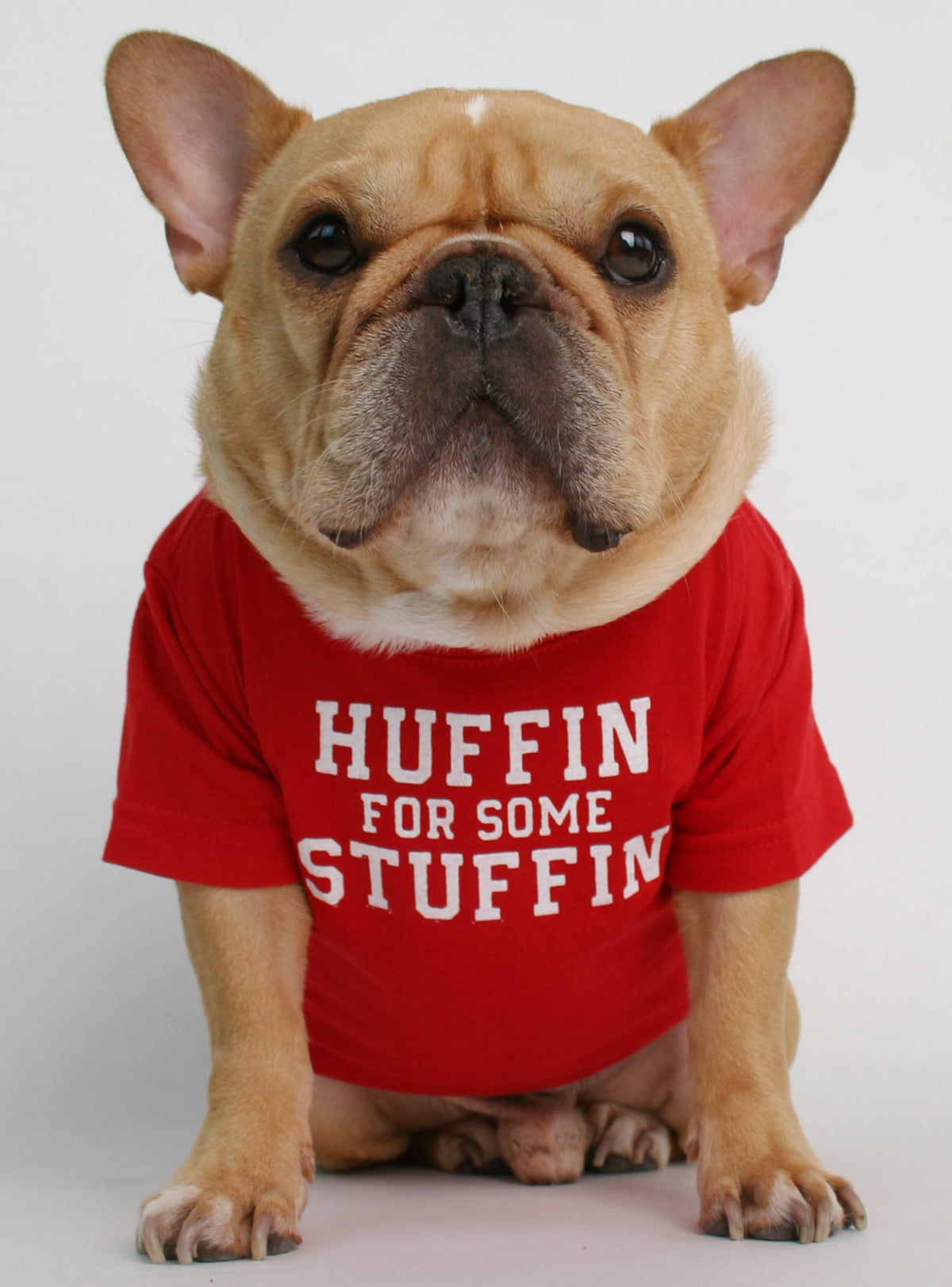 Huffin For Some Stuffin Dog Tee