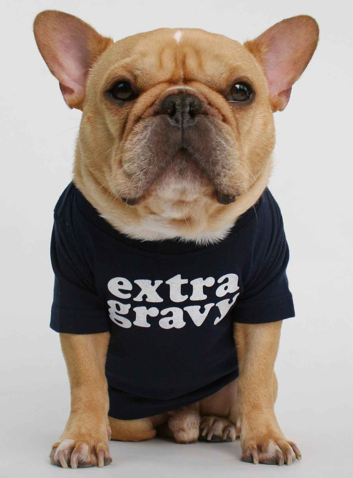 Extra Gravy Dog Tee