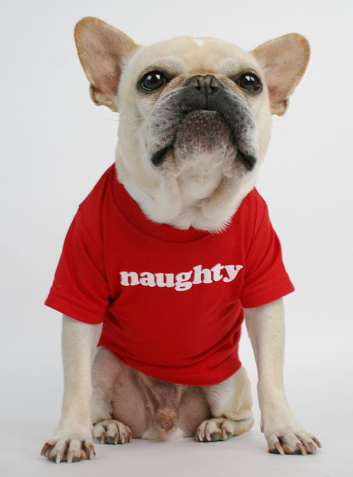 Naughty Dog Tee