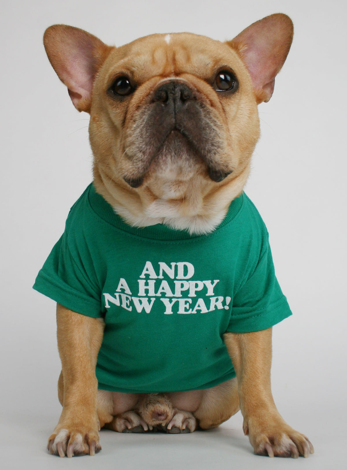 Merry Christmas Ya Filthy Animal Matching T-Shirt Set