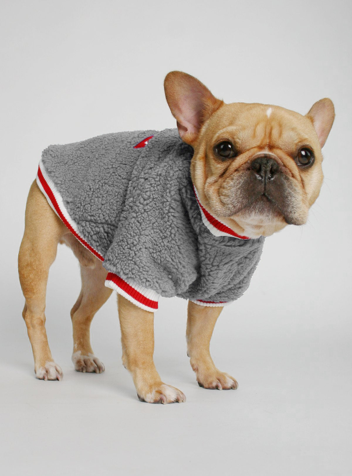 The Saturday Dog Sweater