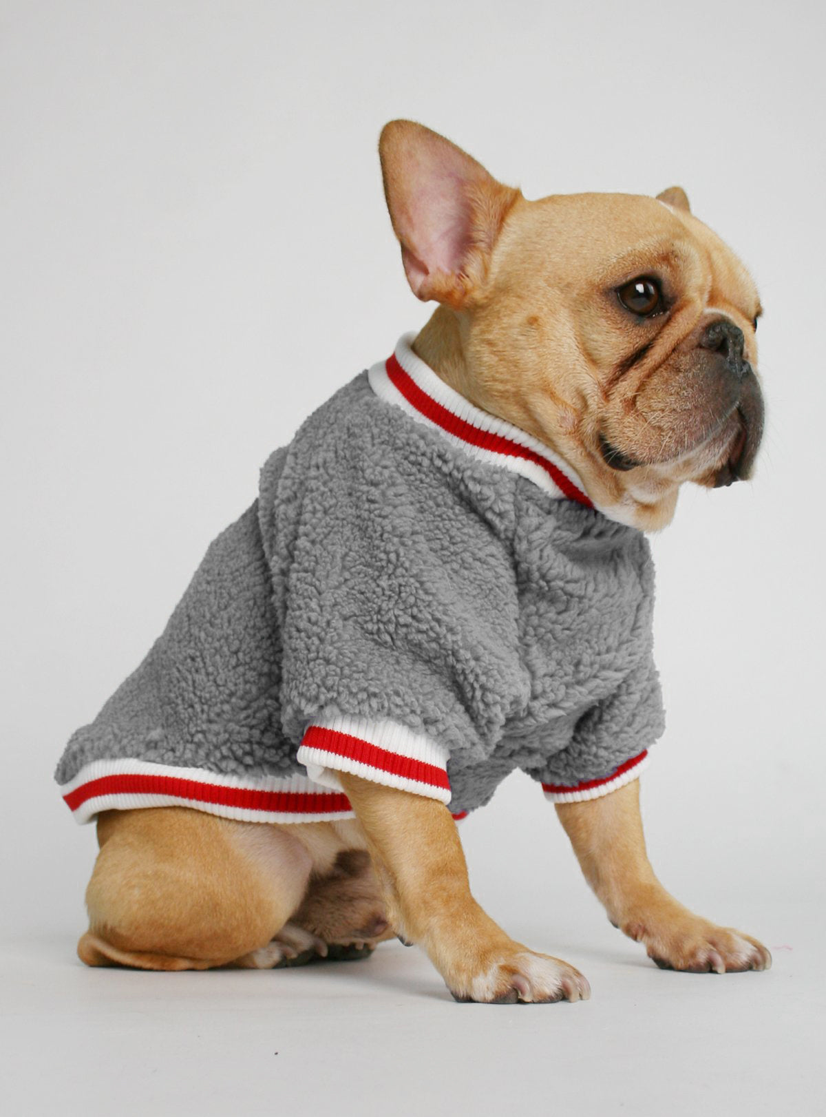 The Saturday Dog Sweater