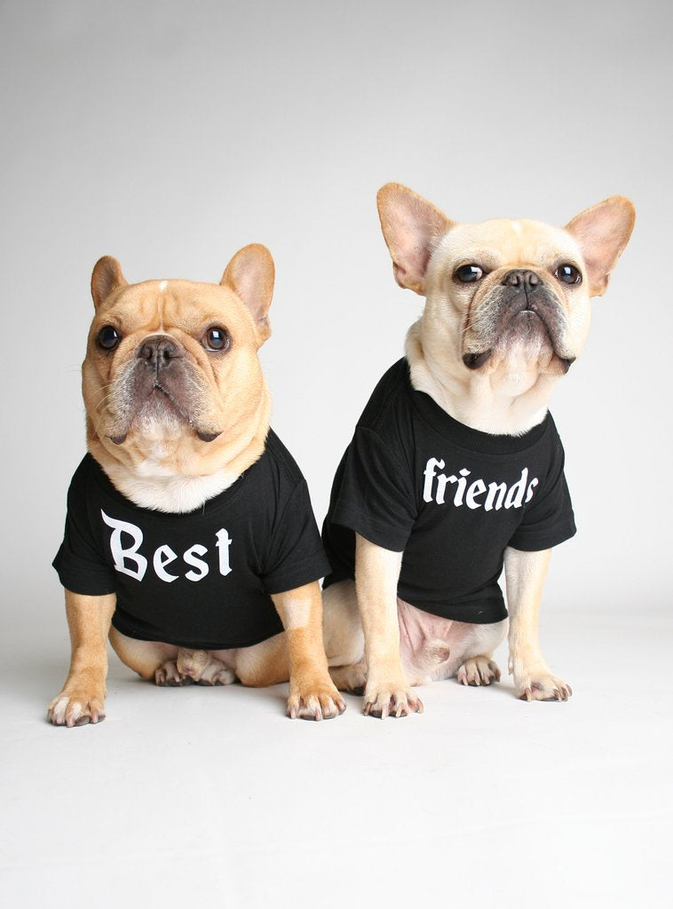 Best Friends Matching T-Shirt Set