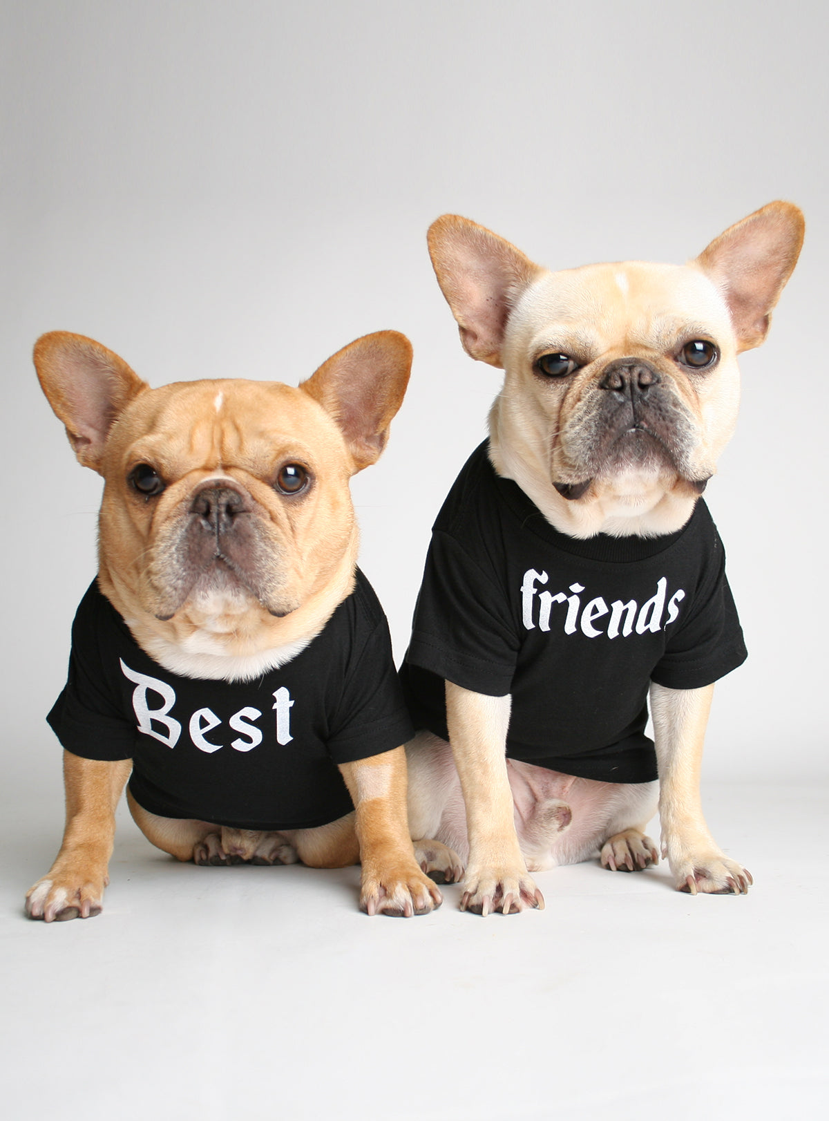 Best Friends (2-Pack) Dog Tee