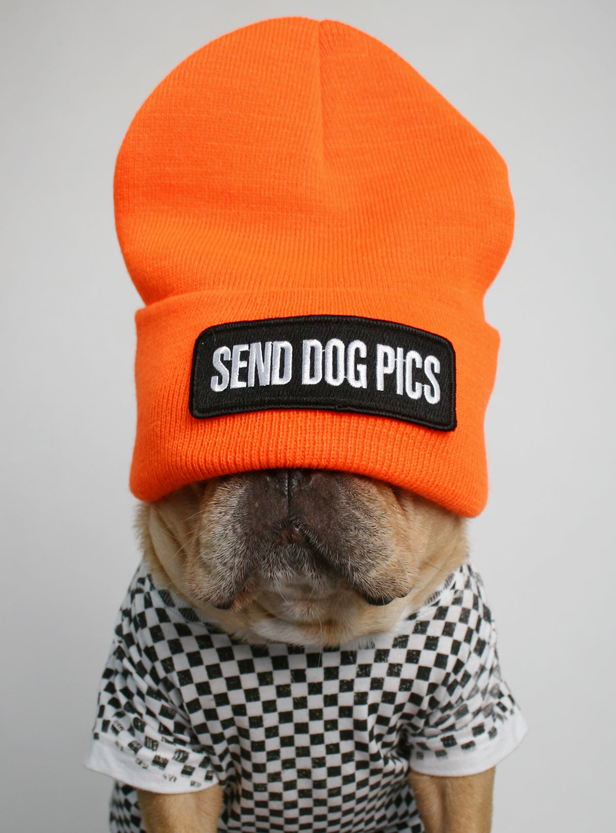 Send Dog Pics Beanie