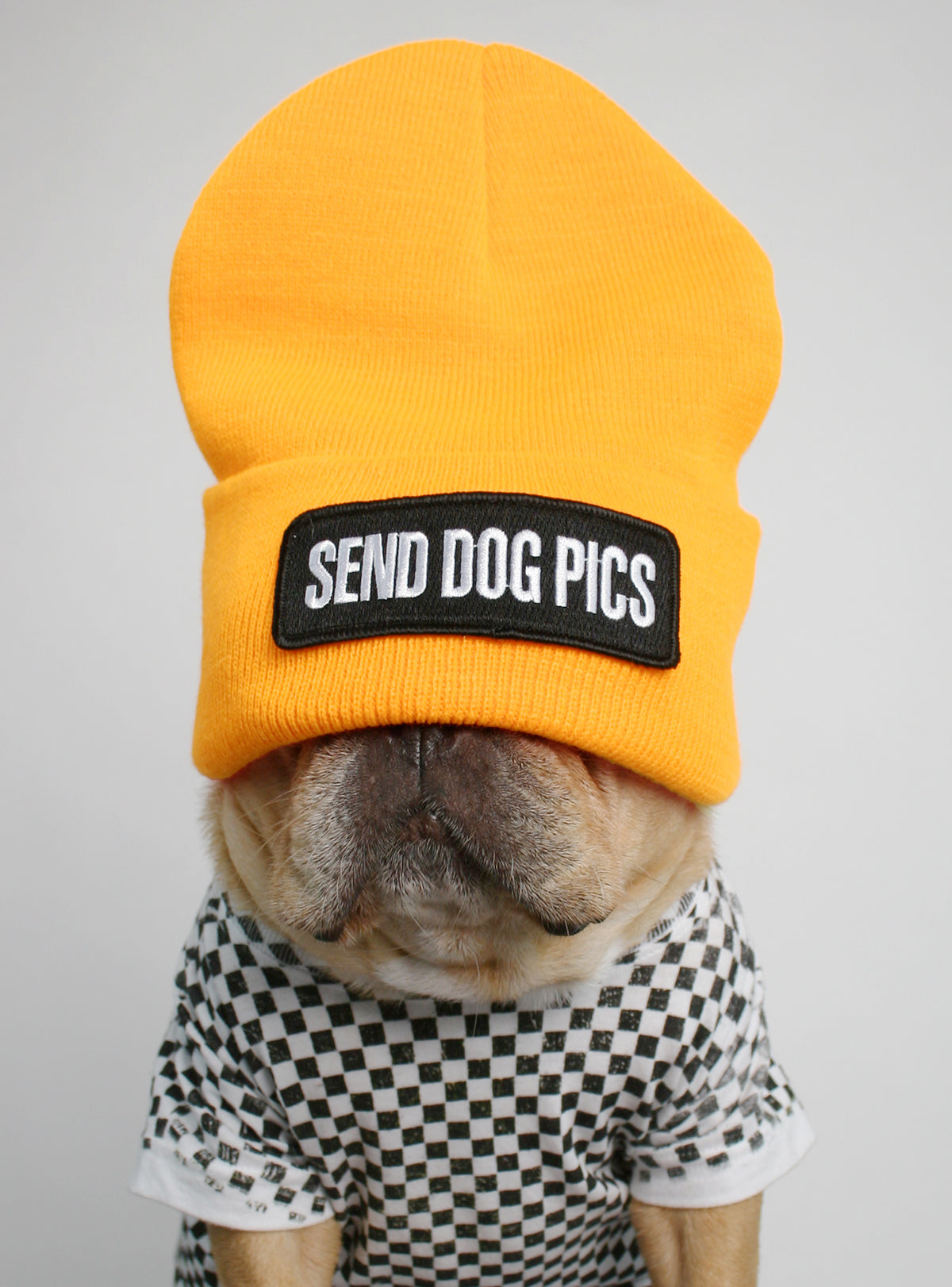 Send Dog Pics Beanie