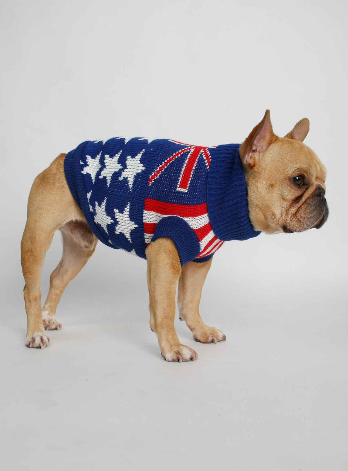 The Union Jack Dog Sweater