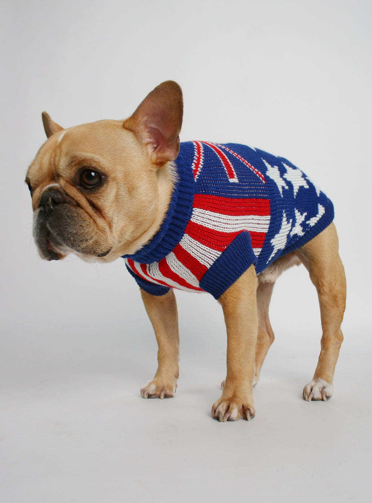 The Union Jack Dog Sweater