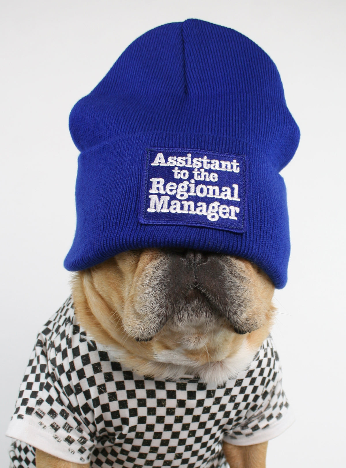Assistant to the Regional Manager Beanie