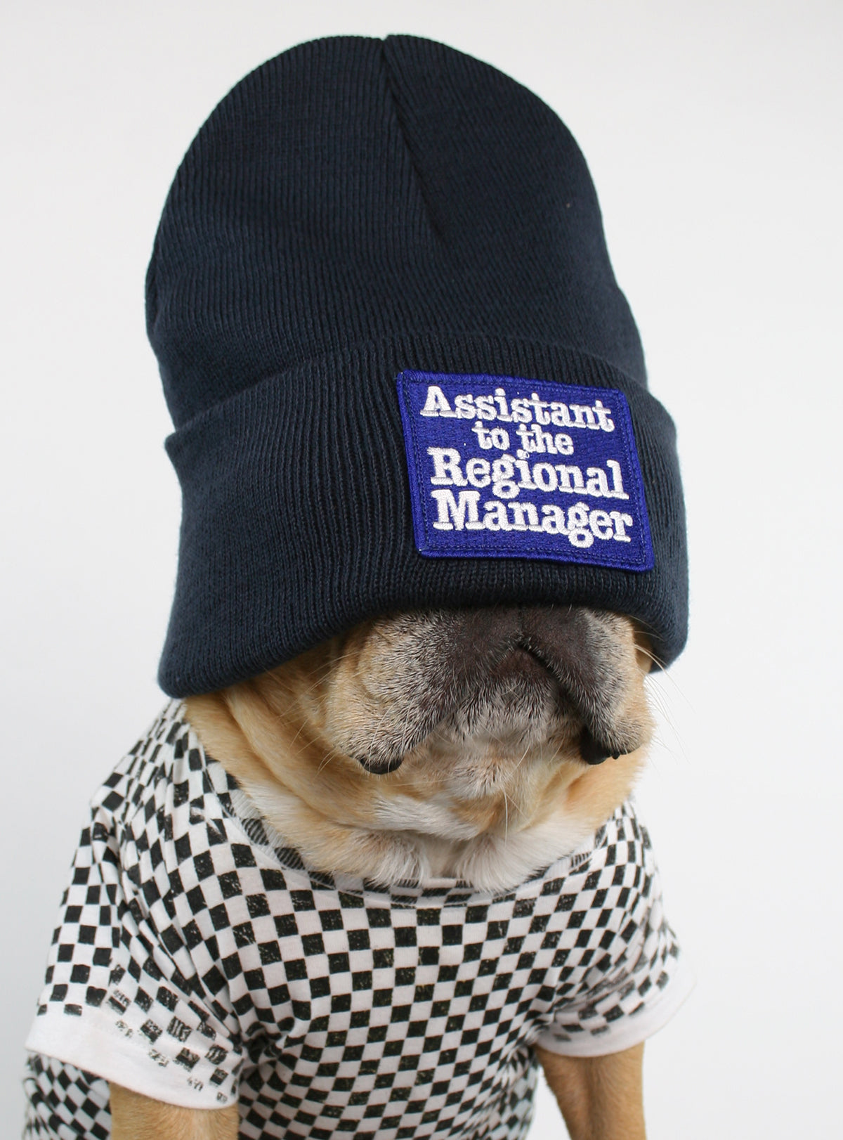 Assistant to the Regional Manager Beanie