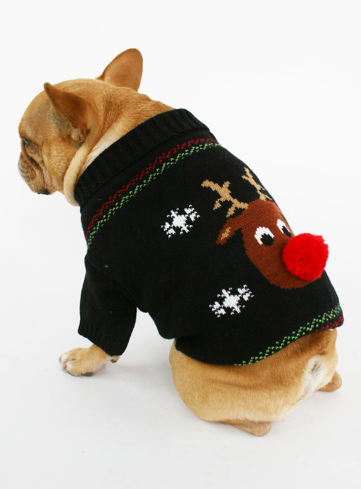 The Rudolph Dog Sweater