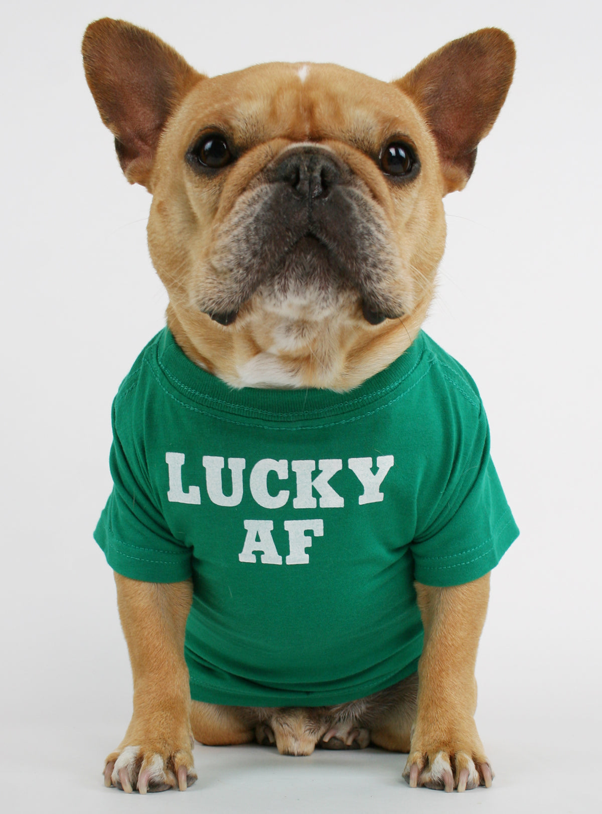 Lucky AF Dog Tee