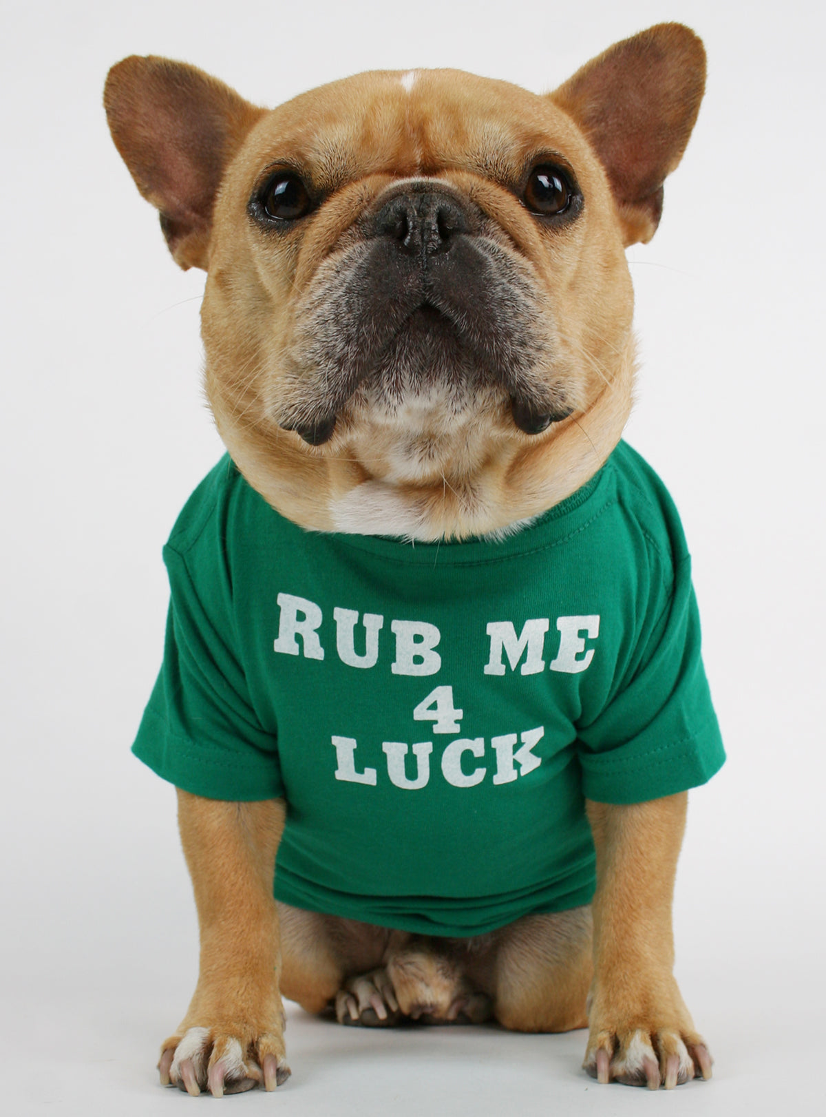 Rub Me 4 Luck Dog Tee