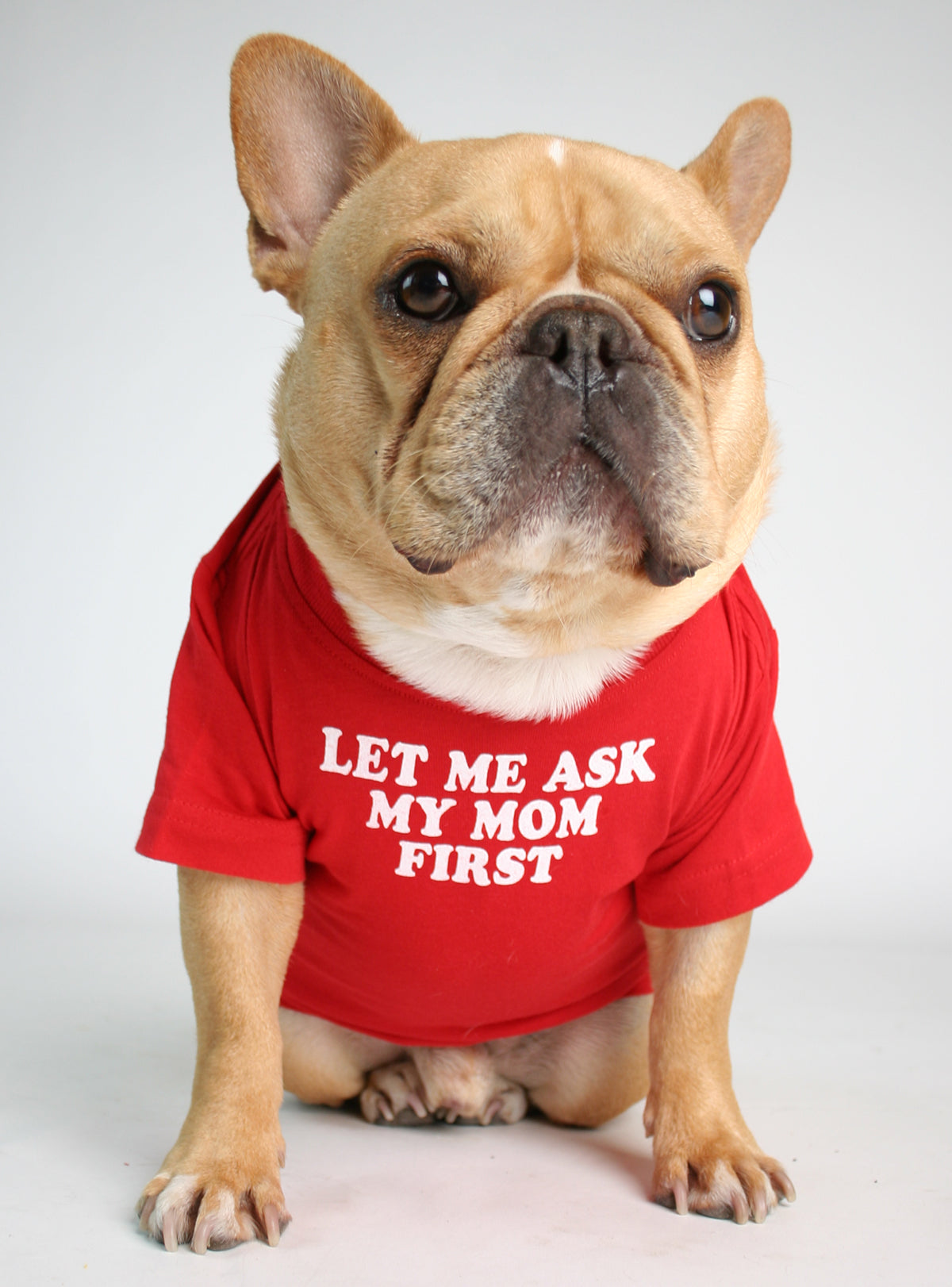Let Me Ask My Mom First Dog Tee