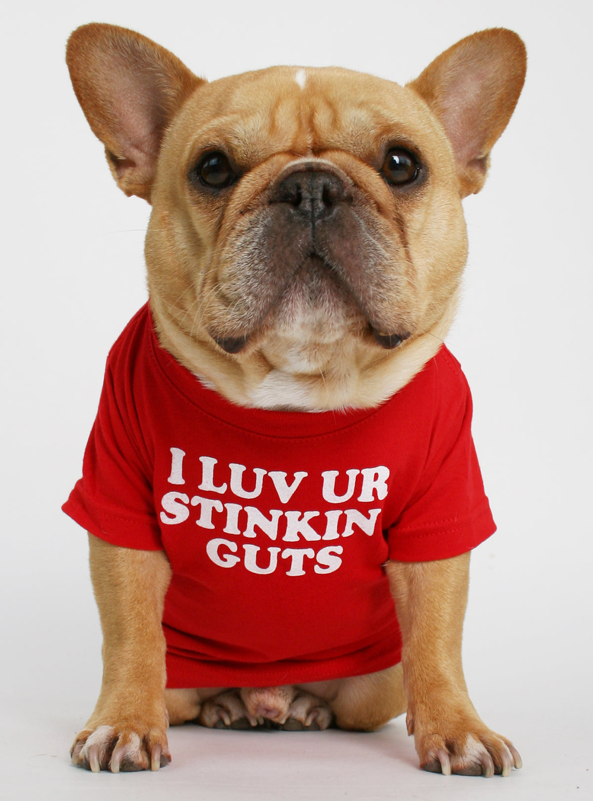 I Luv Ur Stinkin Guts Dog Tee