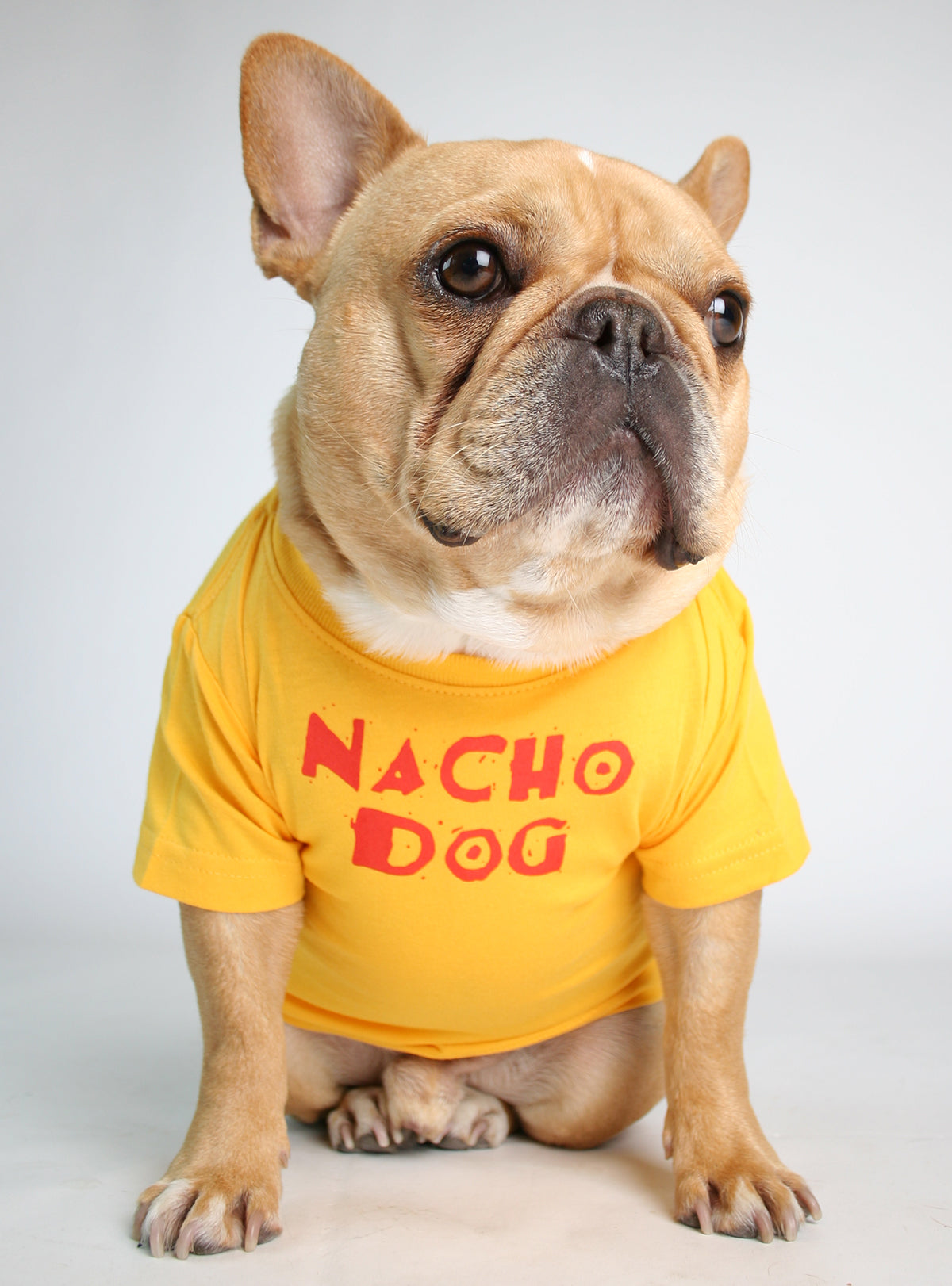 Nacho Dog Tee
