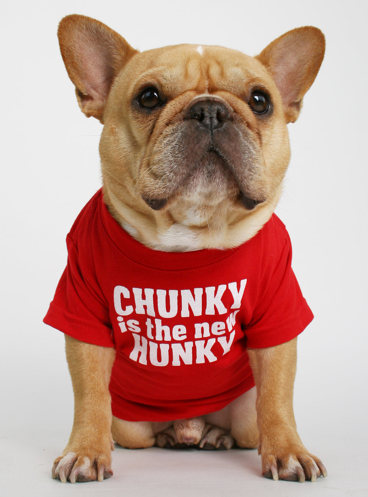 Chunky is the New Hunky Dog Tee