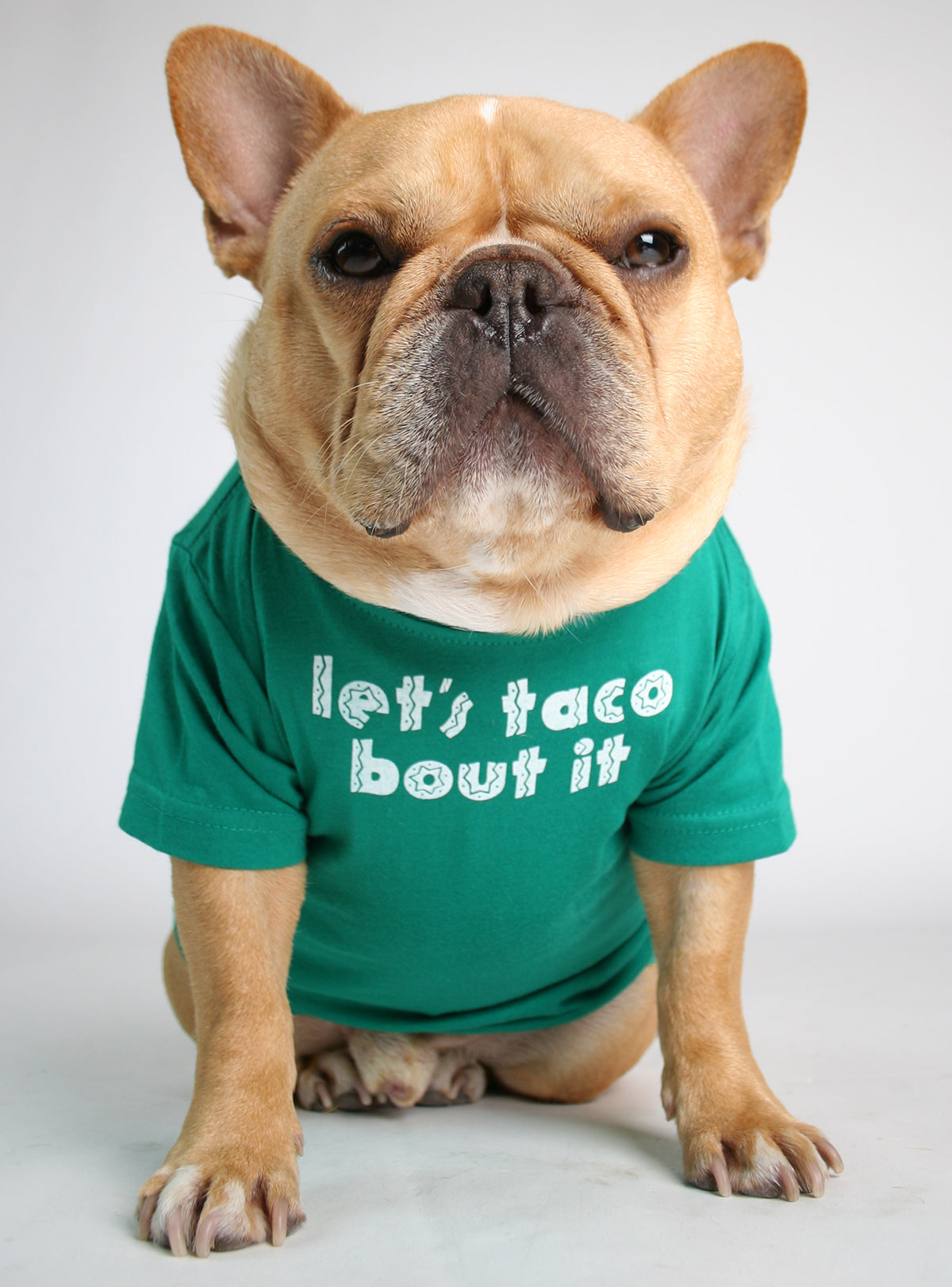 Let&#39;s Taco Bout It Dog Tee
