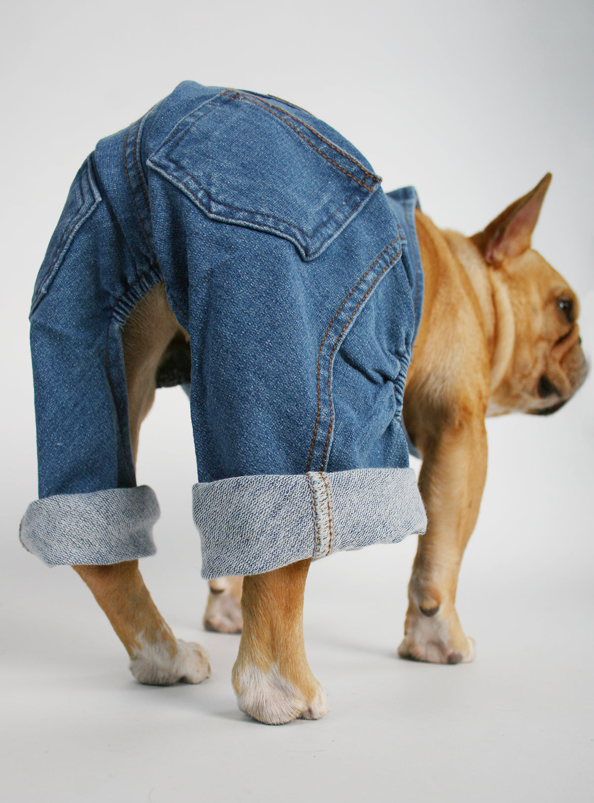 Pet Knitted Clothes Dog Denim Overalls Little Bear Shaped Puppy Jeans Pants  Cute Pet Jumpsuit - Pet Supplies - Temu