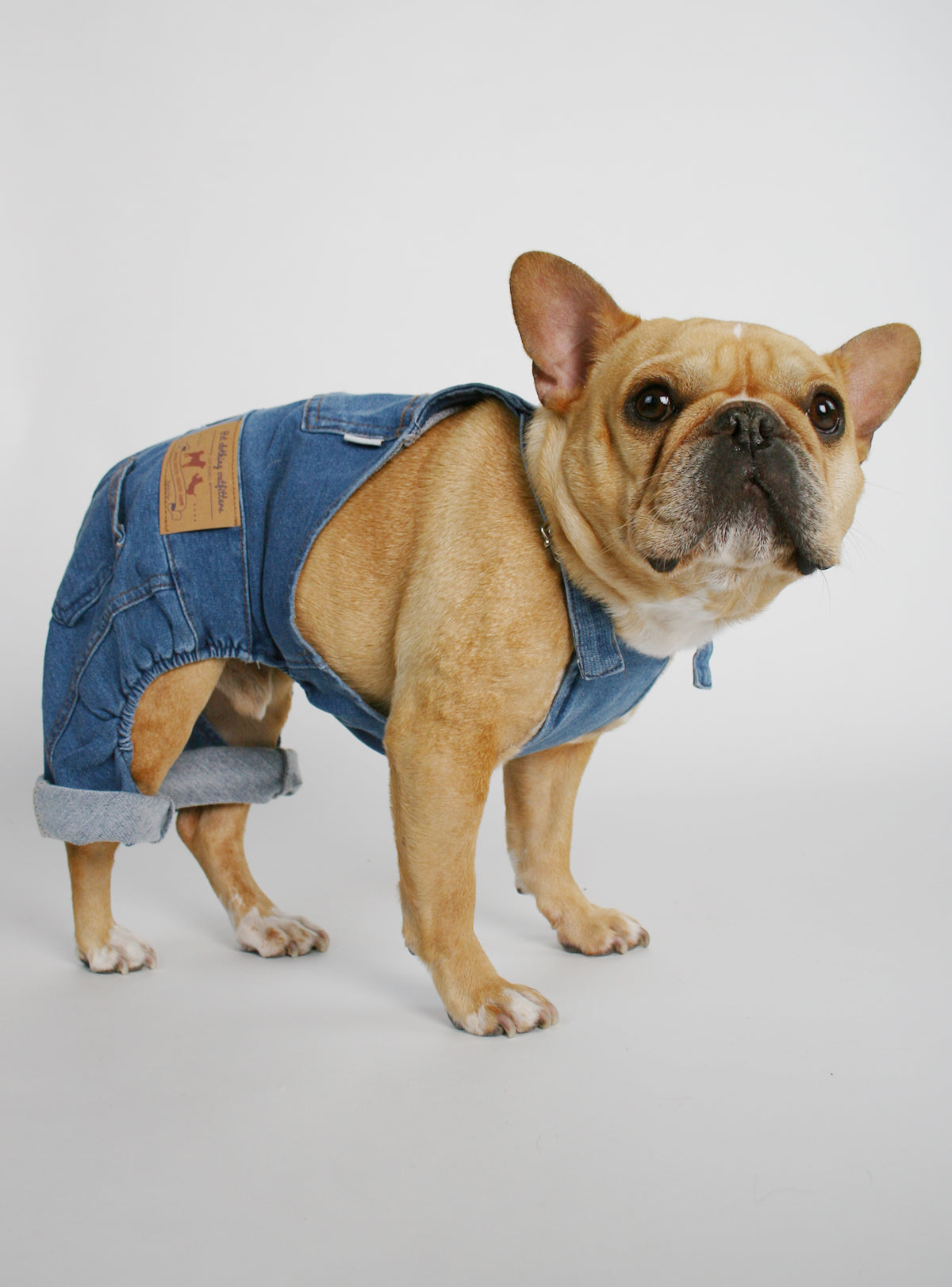 Amazon.com : CAISANG Dog Shirts Clothes Dog Denim Overalls, Fashion Pet  Jean Overalls Apparel, Comfortable Puppy Costumes for Small Medium  Dogs&Cat, Dog Denim Shirts, Shirt & Pant Sets, Pets Outfits (XXL) :